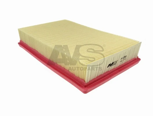 Air Filter (P129)