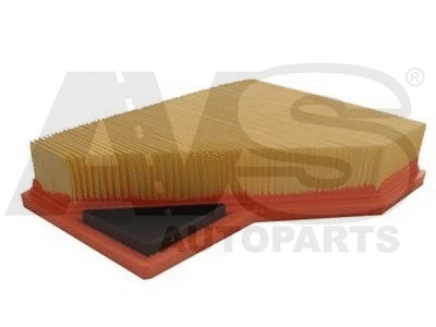 Air Filter (P317)