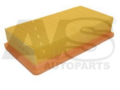 Air Filter (P935)