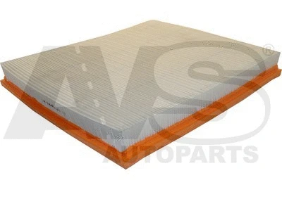 Air Filter (P985)
