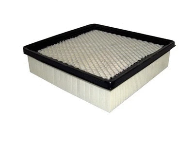 Air Filter (P189)