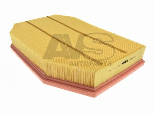 Air Filter (PA027)