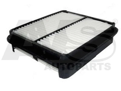 Air Filter (P862)