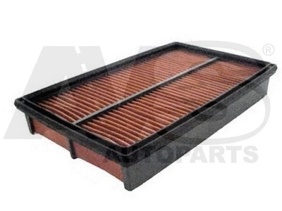 Air Filter (P313)