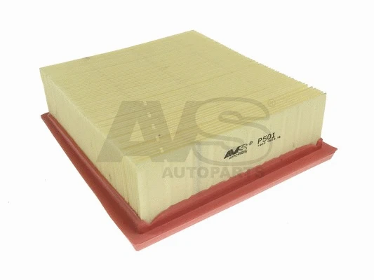 Air Filter (P501)