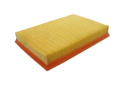 Air Filter (P167)