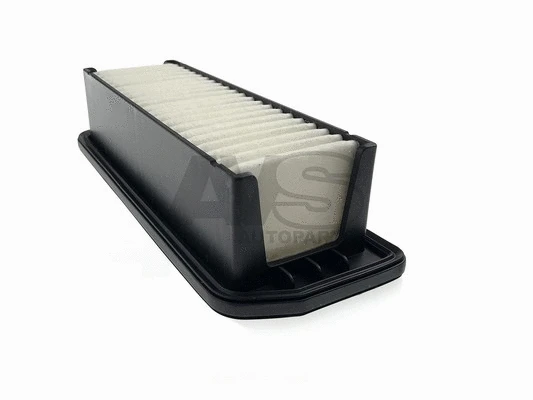 Air Filter (PM325)