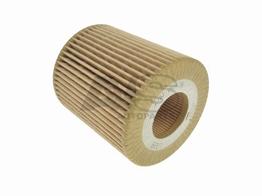 Oil Filter (L028)