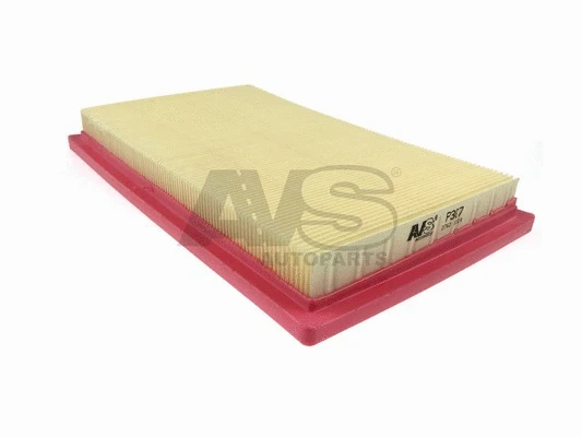 Air Filter (P307)