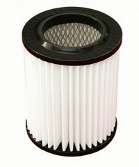 Air Filter (P121)
