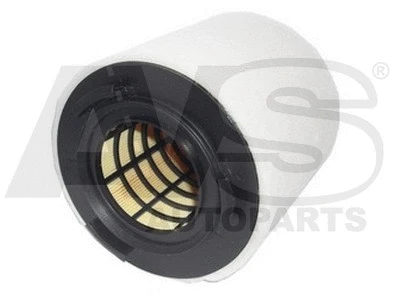 Air Filter (RM621)
