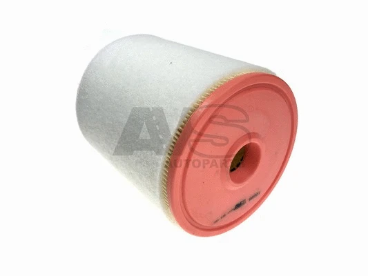 Air Filter (RA001)