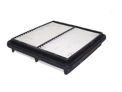 Air Filter (P235)