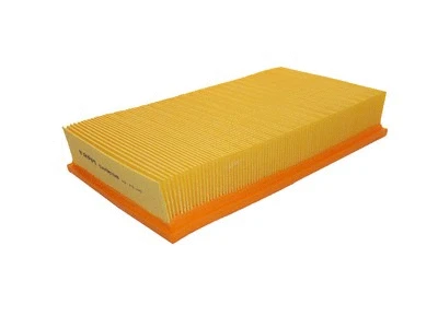 Air Filter (P216)