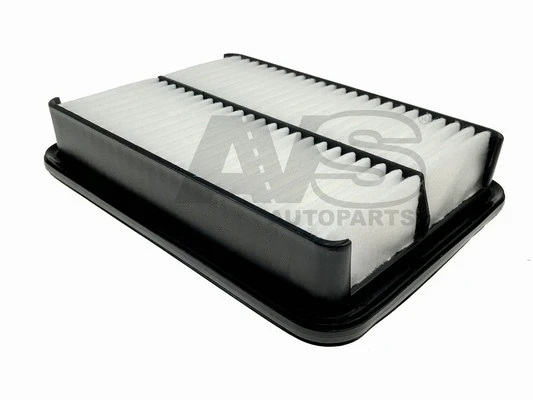 Air Filter (P170)