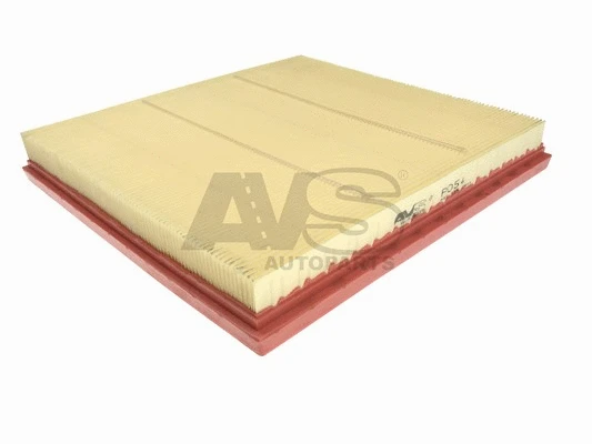 Air Filter (P054)