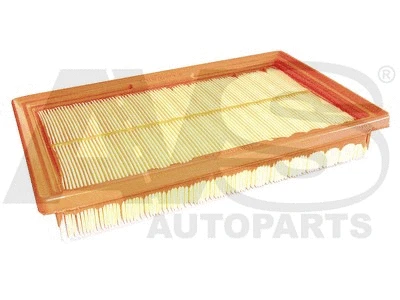 Air Filter (PA011)
