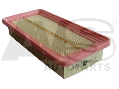 Air Filter (P244)