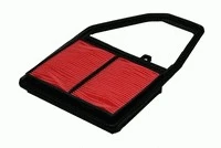 Air Filter (P228)