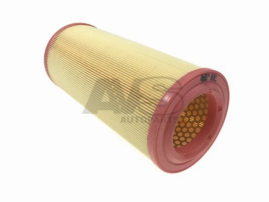Air Filter (R257)