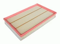 Air Filter (P303)
