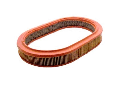 Air Filter (P078A)