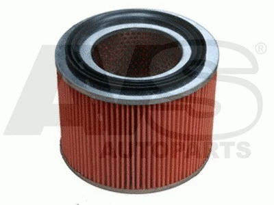Air Filter (RM397)