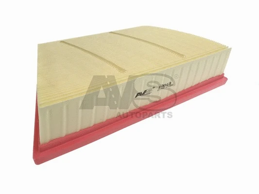 Air Filter (PA019)