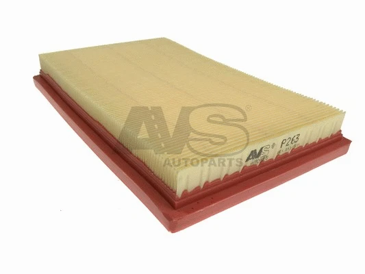Air Filter (P263)