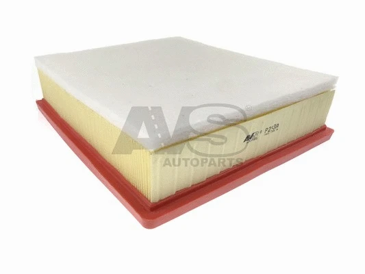 Air Filter (P293A)