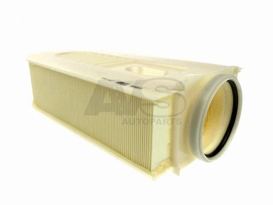 Air Filter (R587)