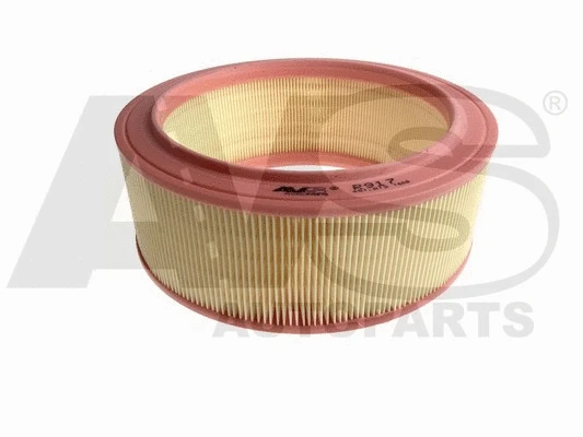 Air Filter (R917)