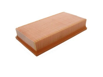 Air Filter (P218)