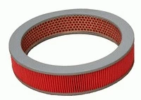 Air Filter (RA046)