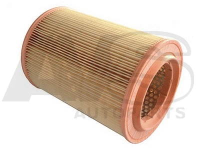 Air Filter (RA195)