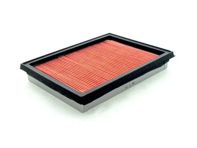 Air Filter (P986)
