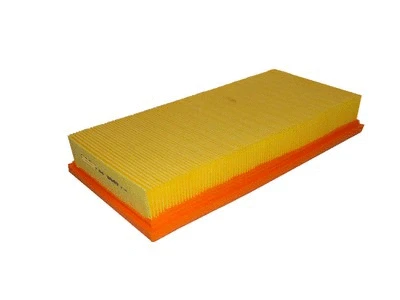 Air Filter (P817)