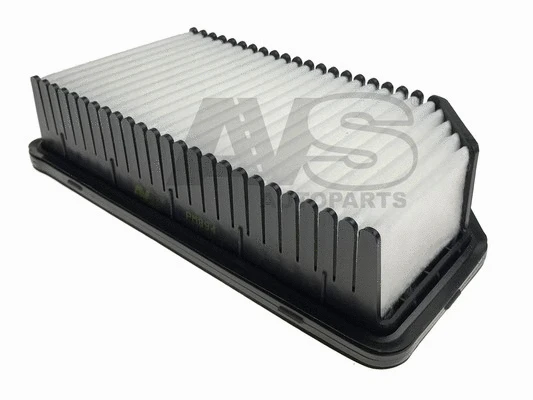 Air Filter (PM894)