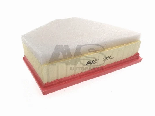 Air Filter (P503)