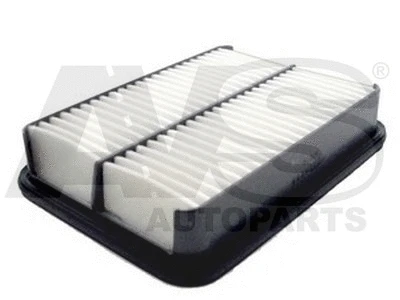 Air Filter (PM171)