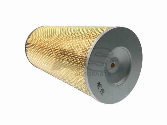Air Filter (R828)