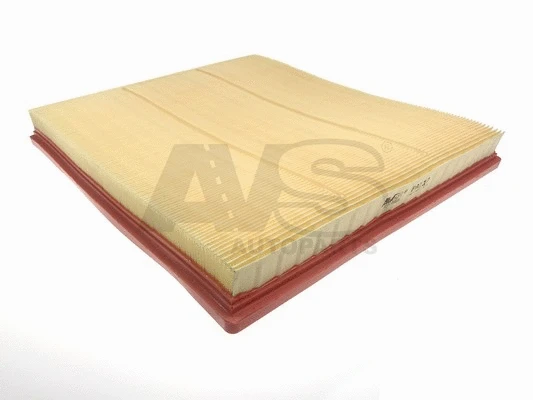 Air Filter (PA117)