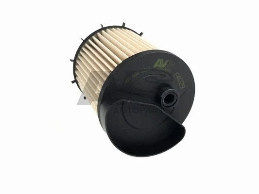 Fuel Filter (FA029)