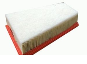 Air Filter (P411A)
