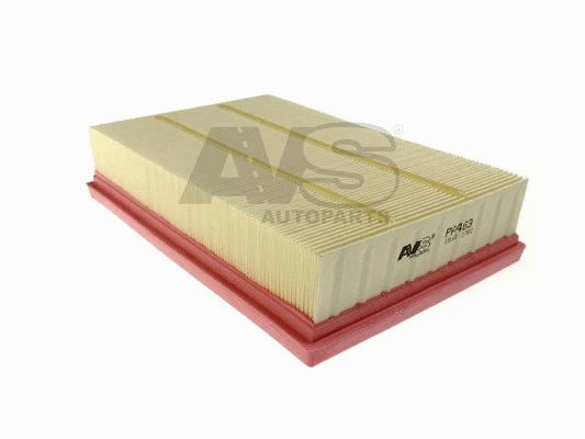 Air Filter (PA463)