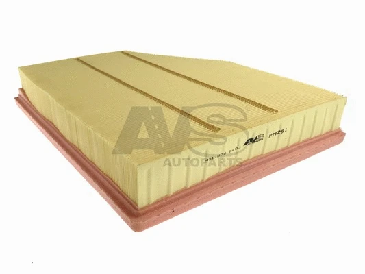 Air Filter (PM251)