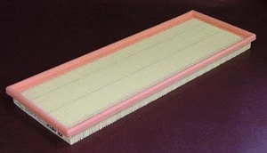 Air Filter (P921)