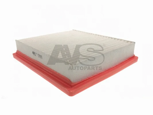 Air Filter (PA065)