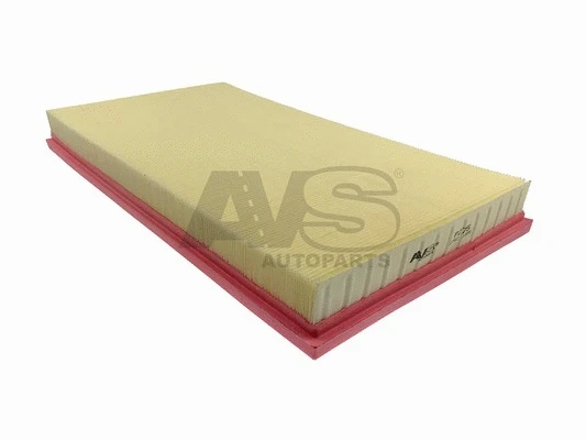Air Filter (P275)