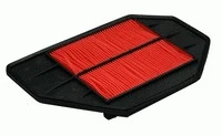 Air Filter (P360)